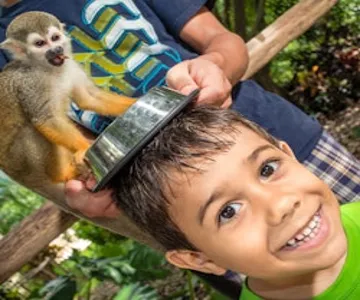 Monkeyland and Plantation: Guided Tour + Tasting + Roundtrip Transfer